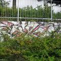 120809_Louny_11