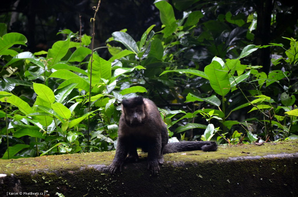 1210_RioDeJaneiro_46