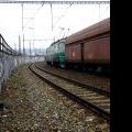 121116_Palmovka_59