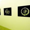 130112_3zTrafacky_13