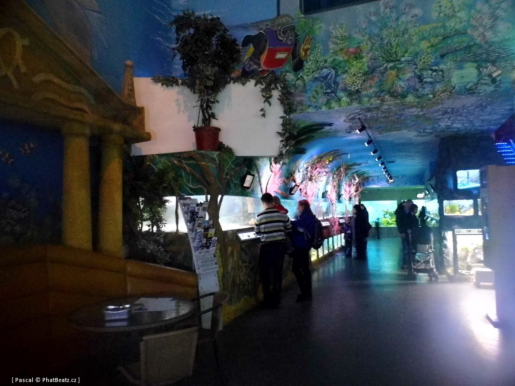 130112_MorskySvet_10
