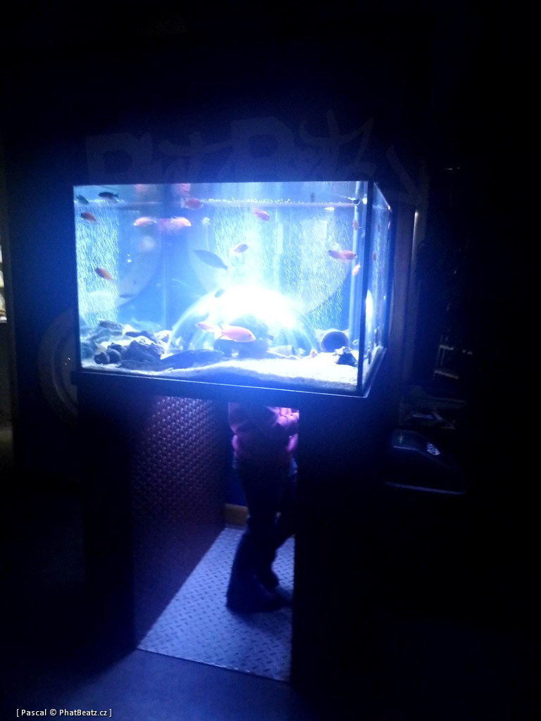 130112_MorskySvet_12