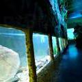 130112_MorskySvet_33