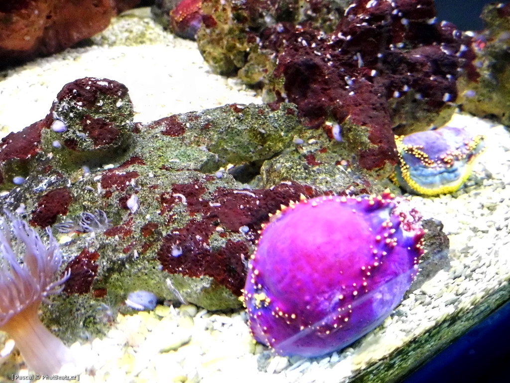 130112_MorskySvet_42