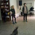 130205_Sasanca_01