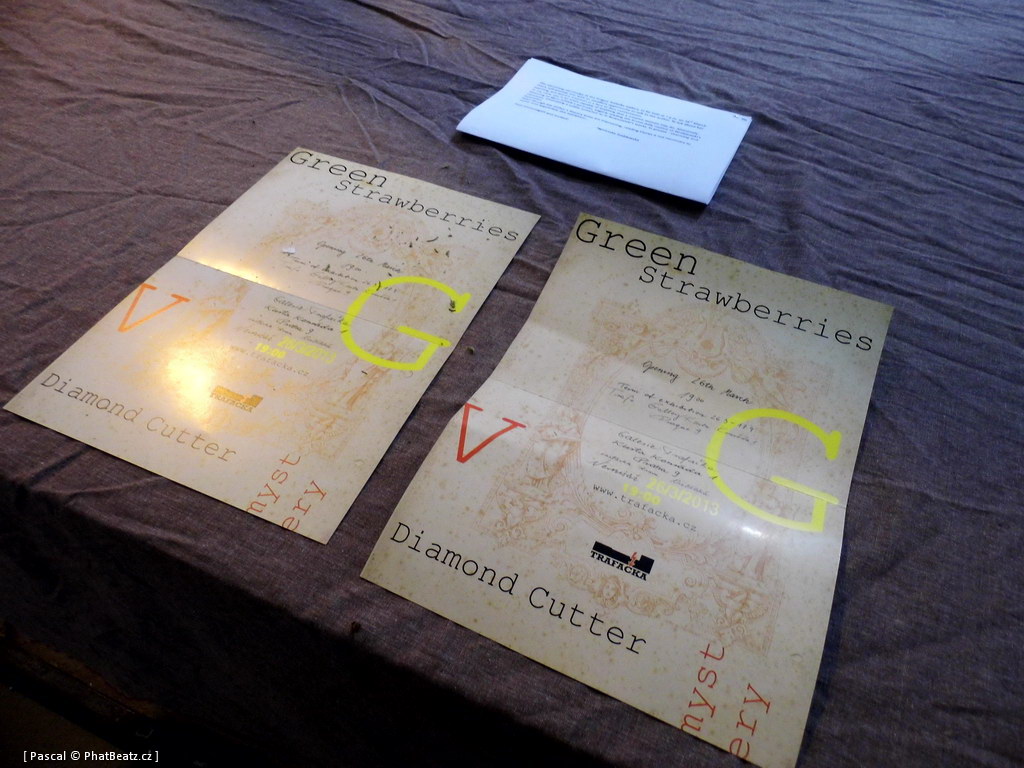 130328_Viola_Glowacka_02 130328_Viola_Glowacka_02