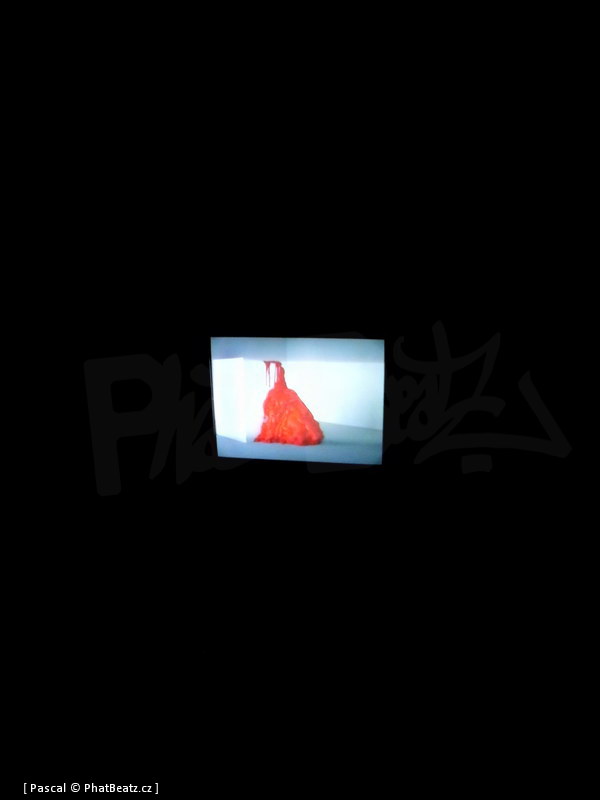 130425_Divus_11 130425_Divus_11
