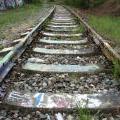 130426_Orionka_117_3