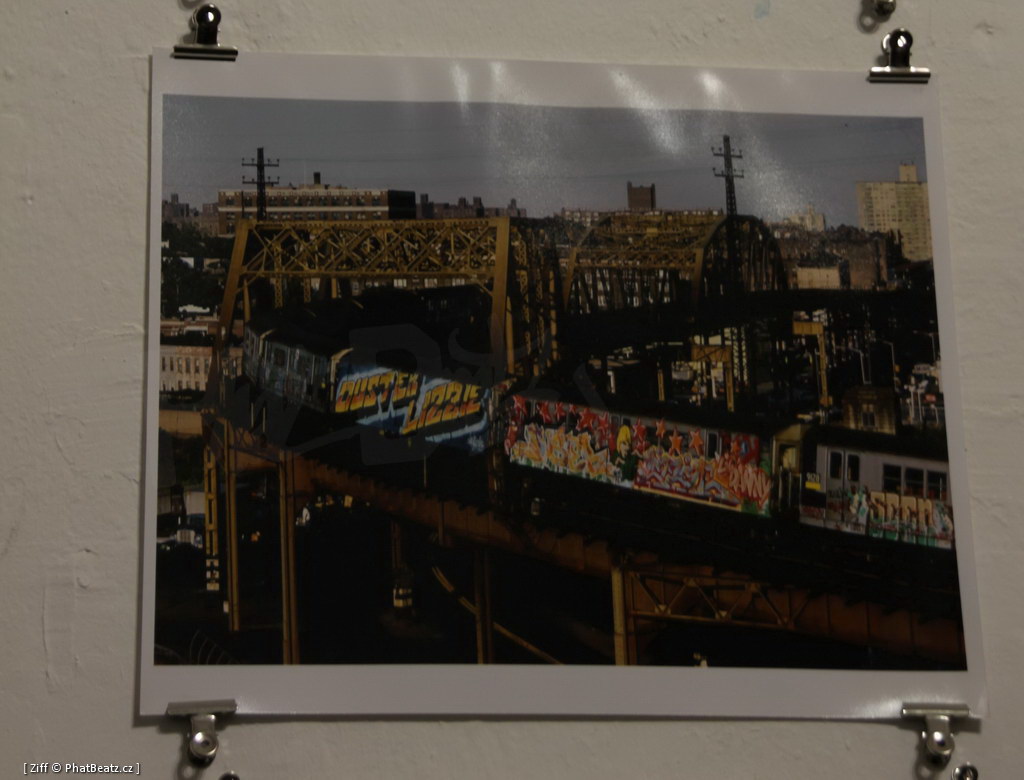 130428_MarthaCooperFiles_098 130428_MarthaCooperFiles_098