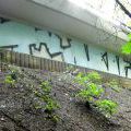 130610_Chotkova_09