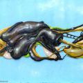 130622_GraffitiBoom04_25