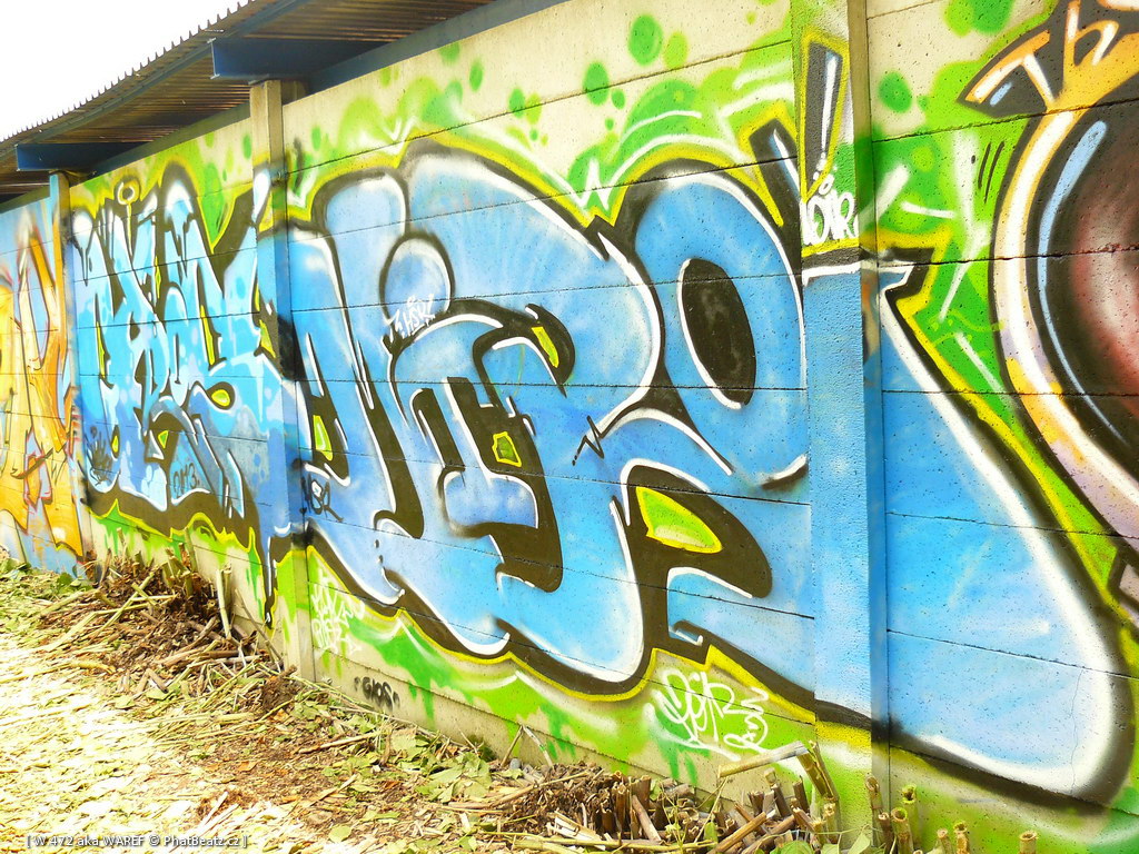130713_Walmez13_36