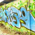 130713_Walmez13_36
