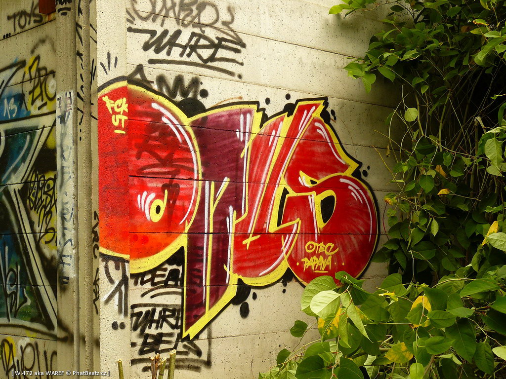 130713_Walmez13_45