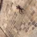 130801_Openmindz_02