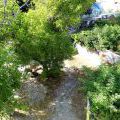 130803_WooDoo2013_17