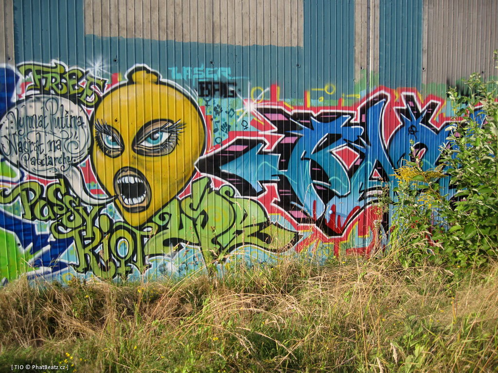 130824_BlackChrome_Rochlice_12