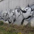 130824_BlackChrome_Rochlice_30