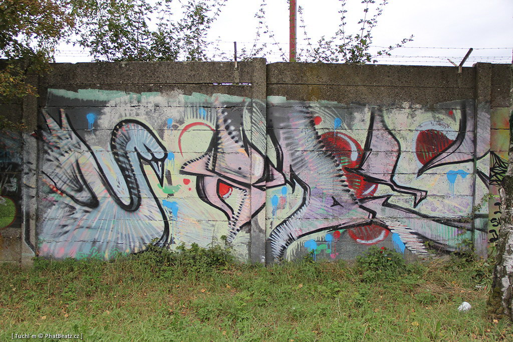 130824_HHK_036 130824_HHK_036