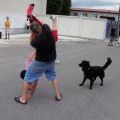 17_080712_Lysa