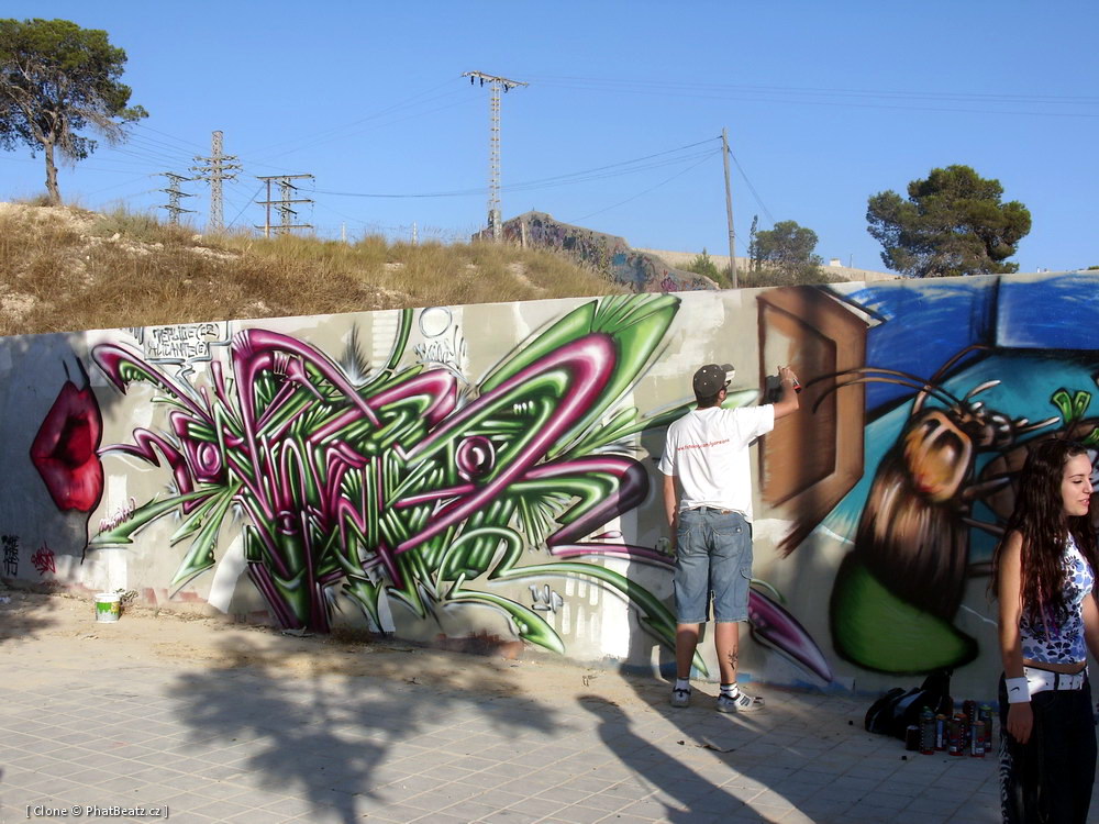 13_Alicante