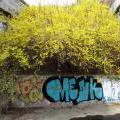 140322_Barrandov_23