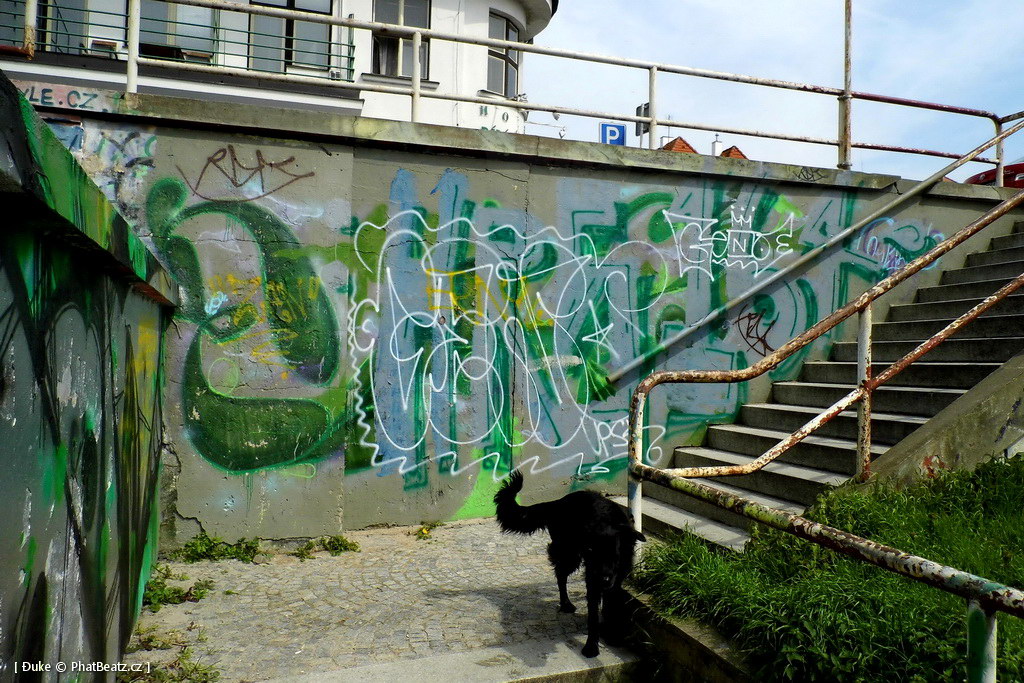 140419_Podebrady_01