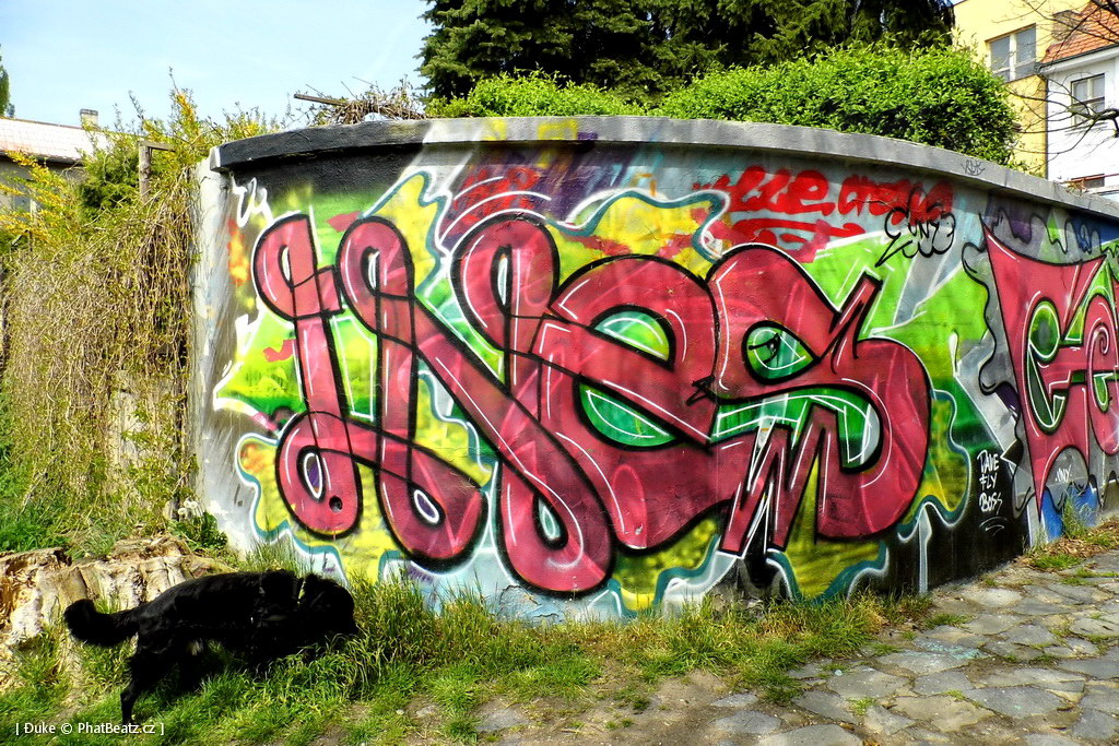140419_Podebrady_07