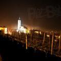 140425_Macula_KH_20