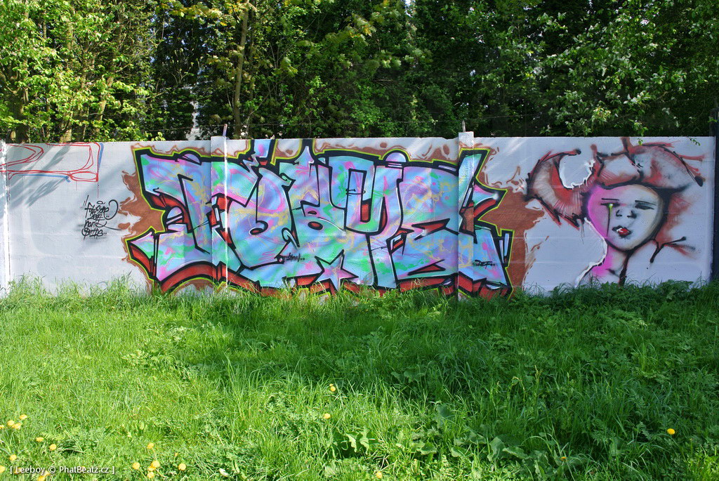 140429_Trebic_29