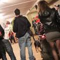 140524_CelART2014_122