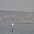 1405_Irael_031