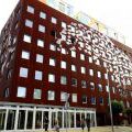 140610_LOcelot_03