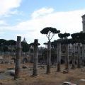 140611_Roma_06