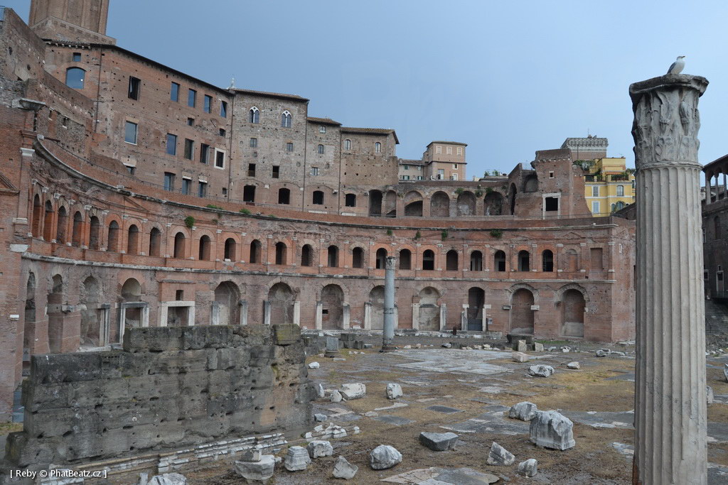 140611_Roma_08