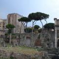 140611_Roma_15