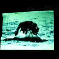 140613_DieMauer_14