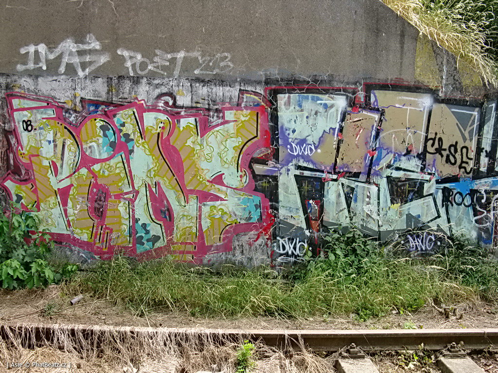 140615_Celakovice_19