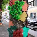 140719_Madeira_street_64