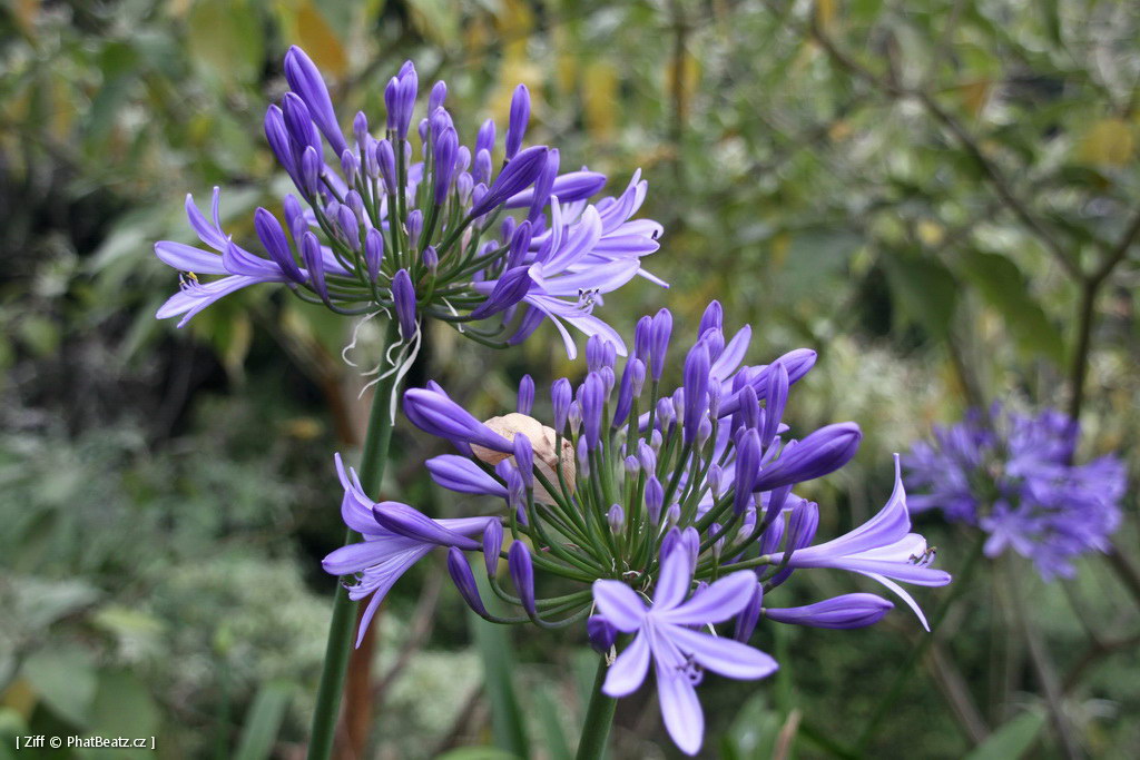 1407_Madeira_004