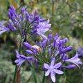 1407_Madeira_004