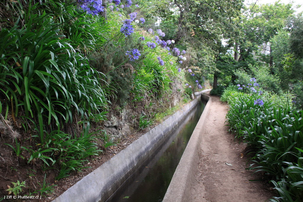 1407_Madeira_005