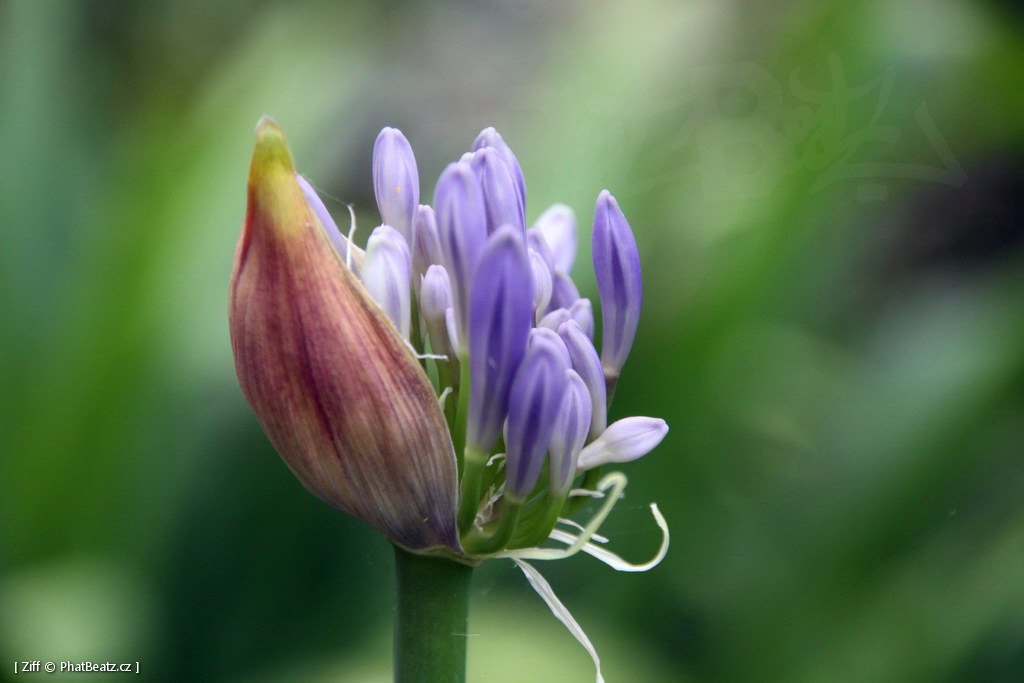 1407_Madeira_006