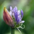 1407_Madeira_006
