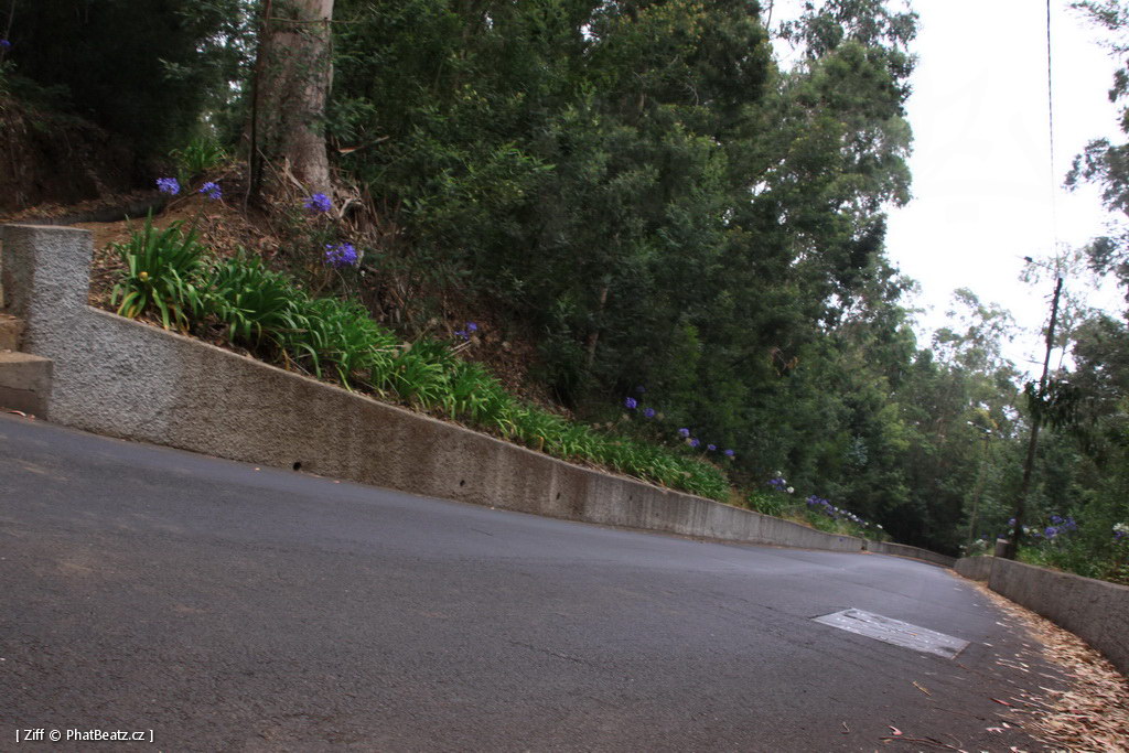1407_Madeira_009