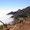 1407_Madeira_039