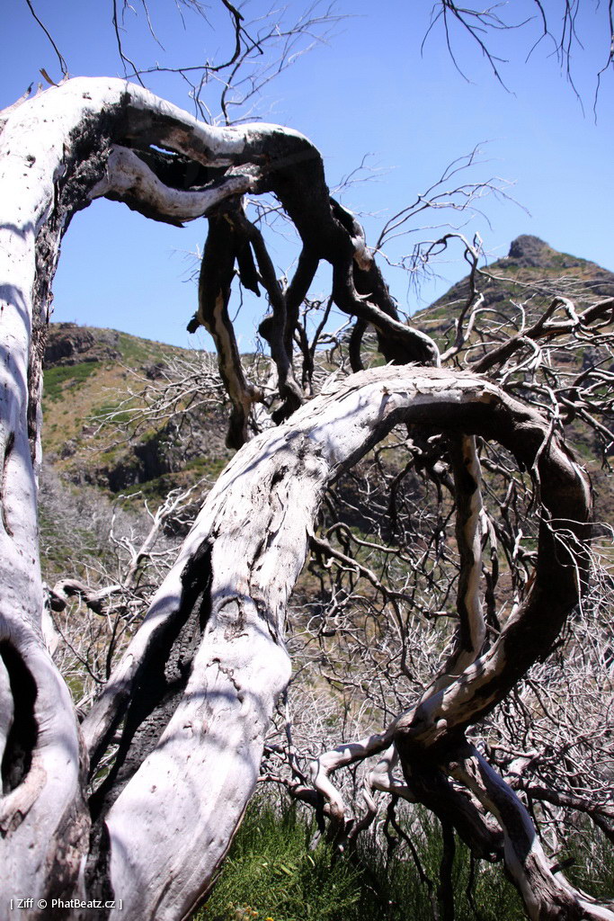 1407_Madeira_045