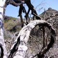 1407_Madeira_045