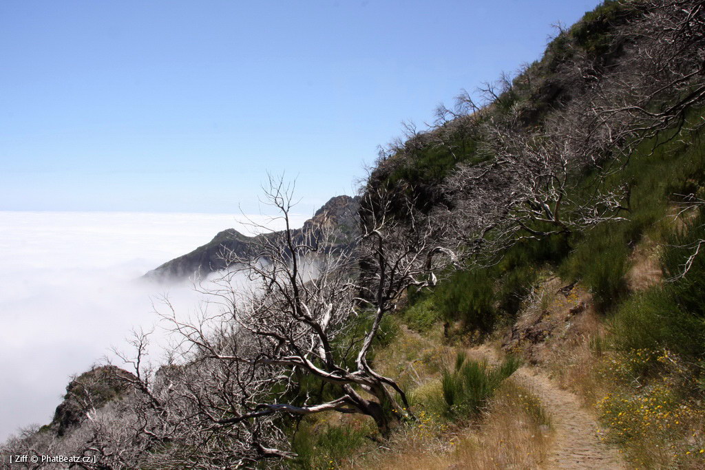 1407_Madeira_046