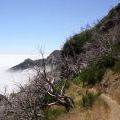 1407_Madeira_046